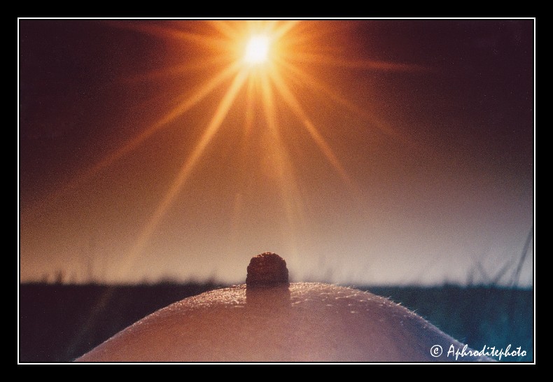08 La caresse des rayons 4